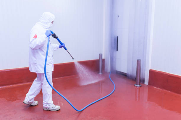 Rayne, LA Pressure Washing Company