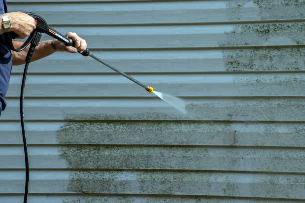 Best Building Exterior Washing  in Rayne, LA